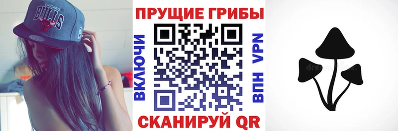 omg вход  Королёв  Псилоцибиновые грибы MAGIC MUSHROOMS 